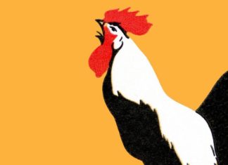 Fortune Magazine has article about the timing of FinTech – Good for Live Oak Bank’s new venture fund?